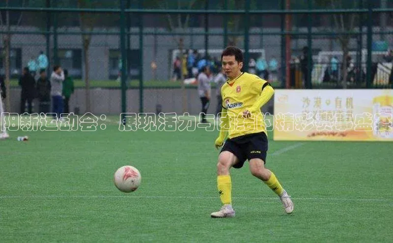 阳新运动会：展现活力与团结的精彩赛事盛宴
