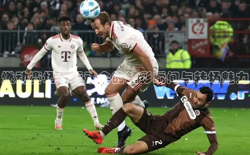 天辰平台官方网站入口